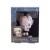 PP6544LR_Lord_Of_The_Rings_Gollum_Icon_Light_Packaging_Front.jpg