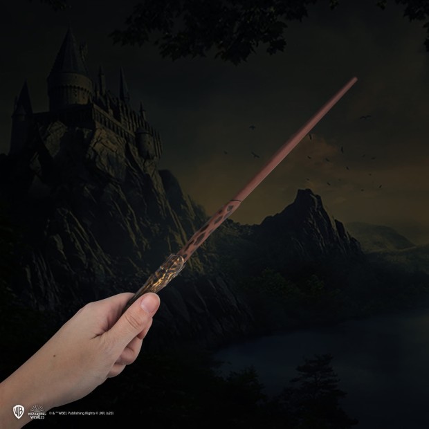 WandPen-HarryPotter-Lifestyle-#4-4895205603851.jpg