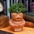 PP9648HP_Harry_Potter_Mandrake_Root_Pen_Pot_Lifestyle_2_800_x_800.jpg