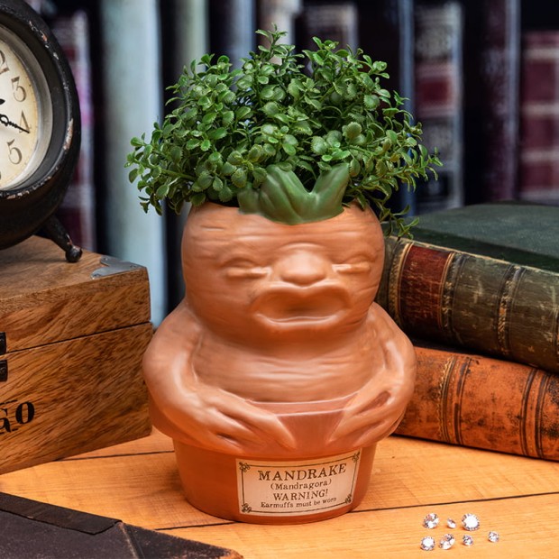 PP9648HP_Harry_Potter_Mandrake_Root_Pen_Pot_Lifestyle_2_800_x_800.jpg