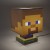 PP9119MCF_Minecraft_Steve_Icon_Lamp_product_light_on_800_x_800.jpg