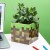 PP9465MCF_Minecraft_Grass_Block_Pen_and_Plant_Pot_Square_Lifestyle_2.jpg