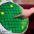 dragon-ball-cushion-radar-with-sound (4).jpg