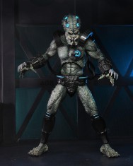 x_neca51589_g.jpg