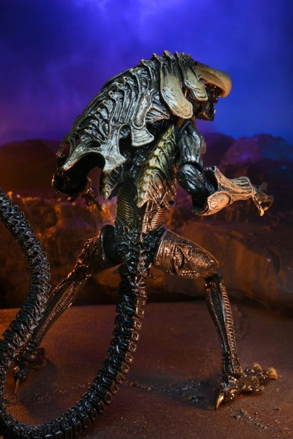 x_neca51717_u.jpg