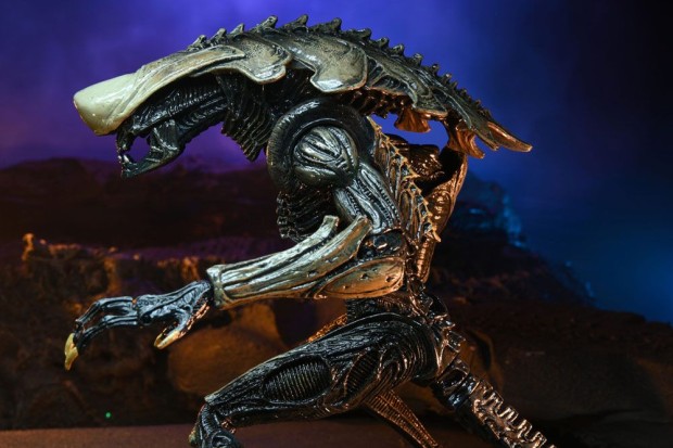 x_neca51717_v.jpg