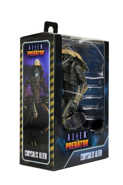x_neca51717_w.jpg