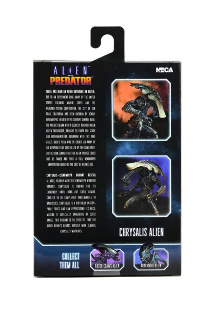 x_neca51717_x.jpg