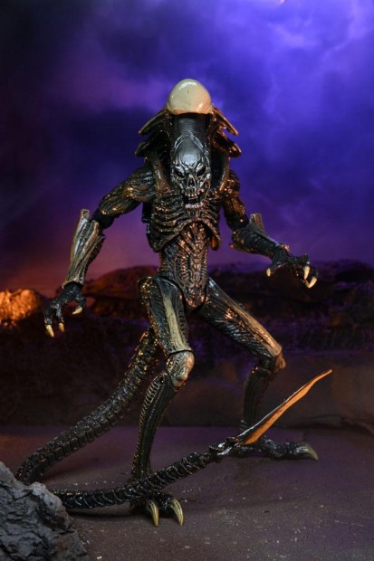 x_neca51717_o.jpg