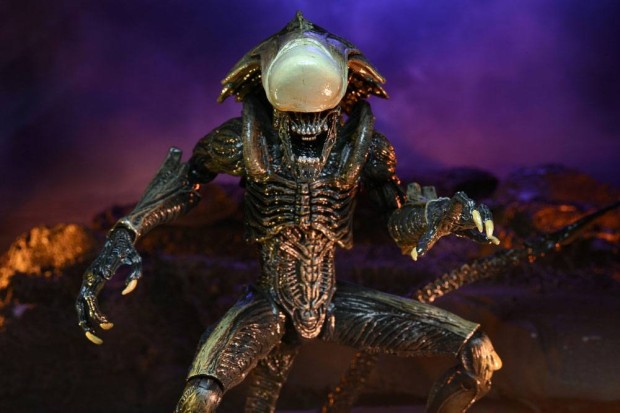 x_neca51717_r.jpg