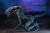 x_neca51717_a.jpg