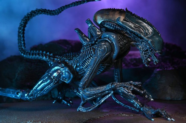x_neca51717_c.jpg