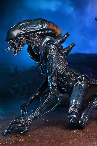 x_neca51717_d.jpg