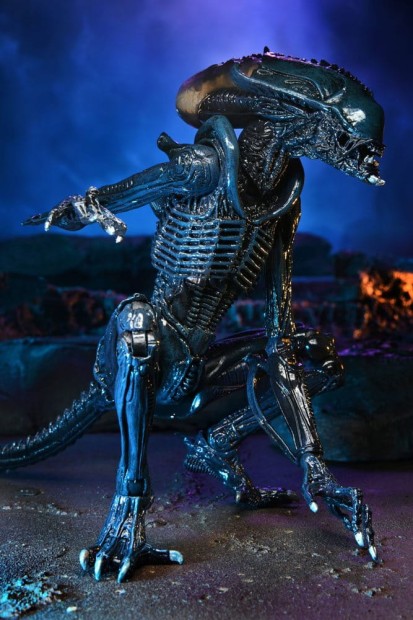 x_neca51717_f.jpg