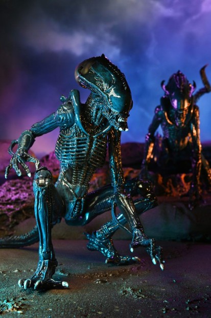 x_neca51717_g.jpg
