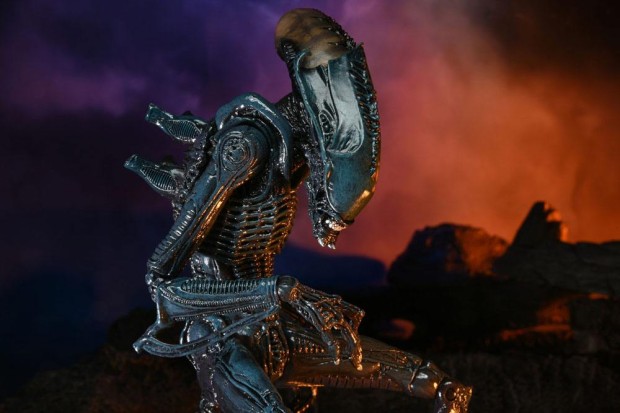 x_neca51717_h.jpg