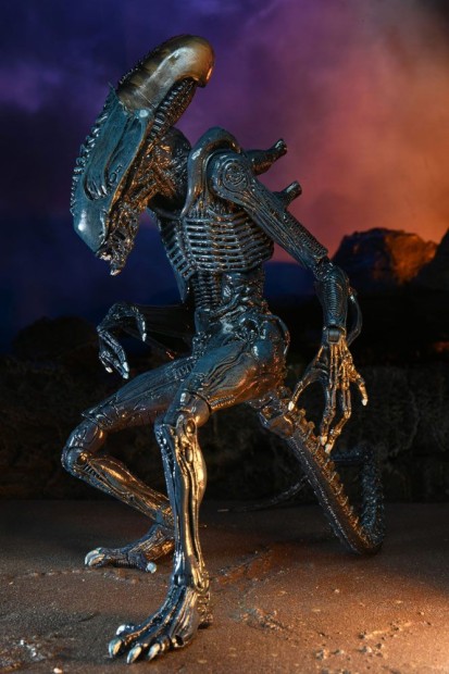 x_neca51717_i.jpg