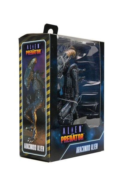 x_neca51717_k.jpg