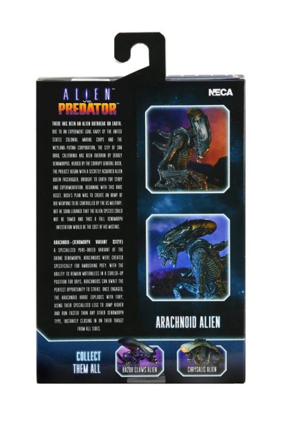 x_neca51717_l.jpg
