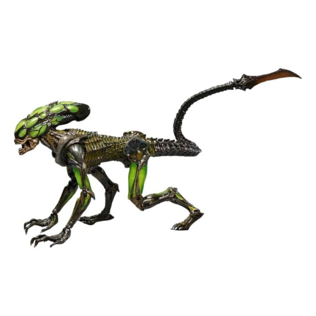 x_neca51724_m_clipped_rev_1.jpeg