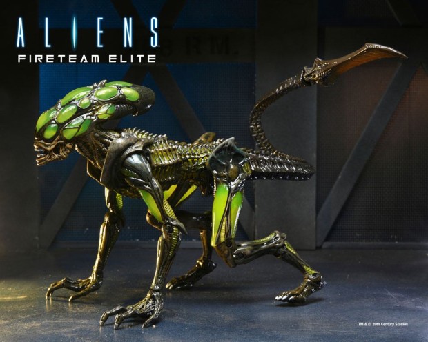 x_neca51724_a.jpg
