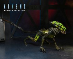 x_neca51724_b.jpg