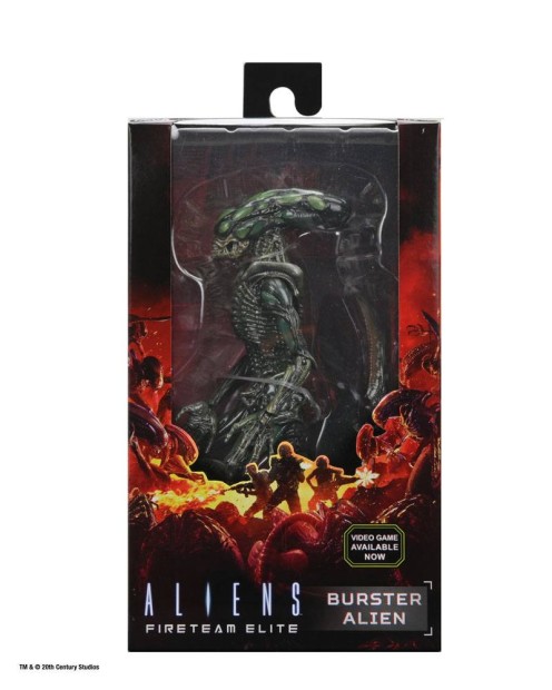 x_neca51724_h.jpg