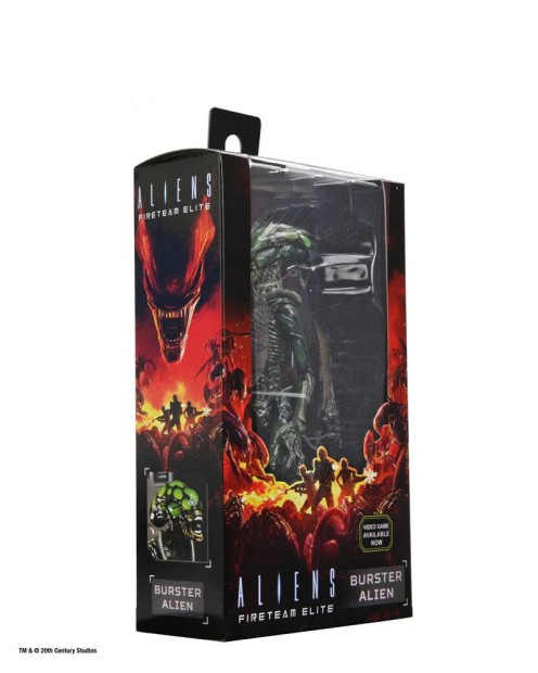 x_neca51724_i.jpg