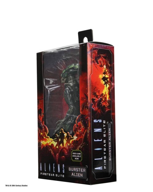 x_neca51724_j.jpg