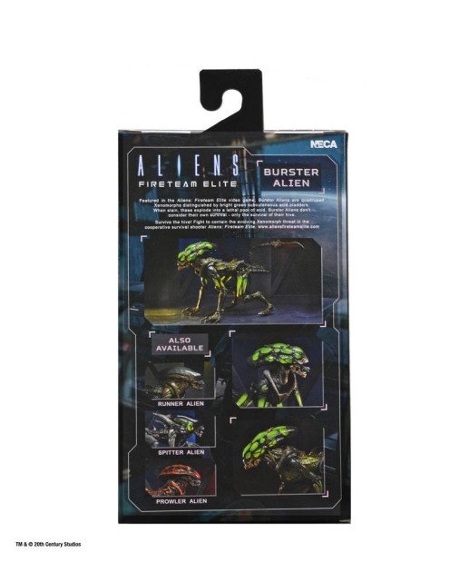 x_neca51724_k.jpg