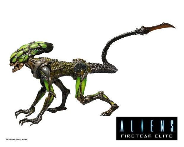 x_neca51724_m.jpg