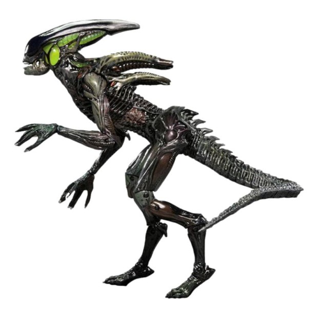 x_neca51724_s_clipped_rev_1.jpeg