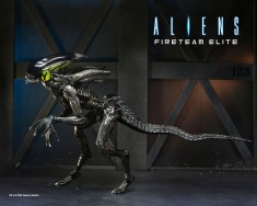 x_neca51724_c.jpg
