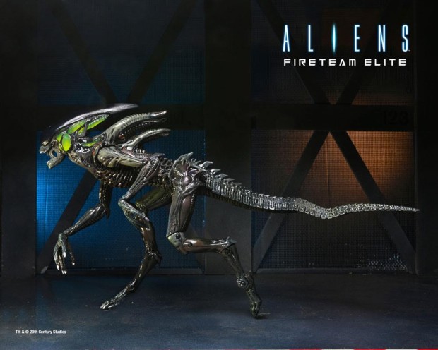 x_neca51724_d.jpg