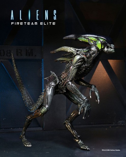 x_neca51724_e.jpg