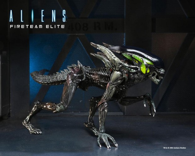 x_neca51724_f.jpg