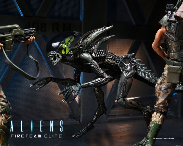 x_neca51724_g.jpg