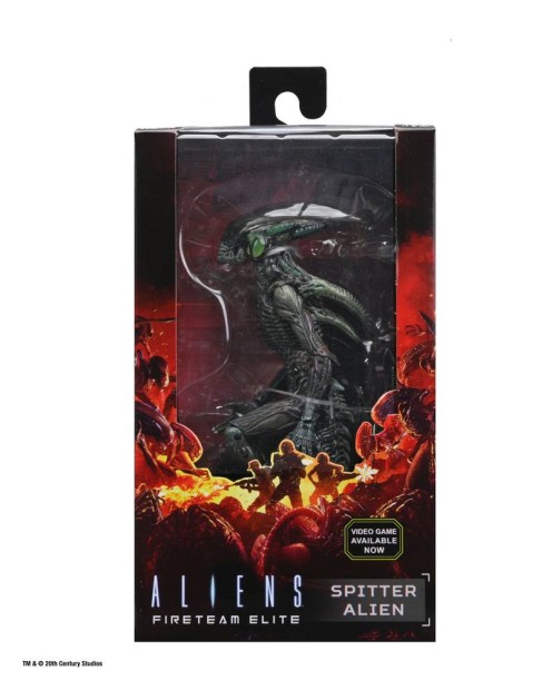 x_neca51724_n.jpg
