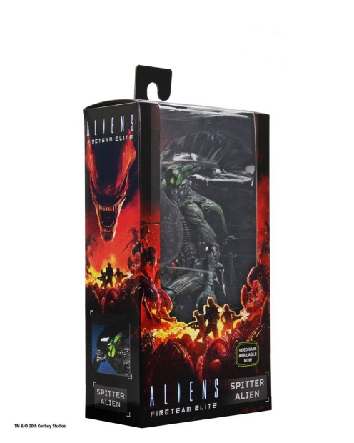 x_neca51724_p.jpg