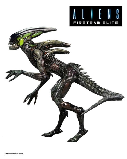 x_neca51724_s.jpg
