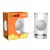 dragon-ball-tankard-metal-dragon-ball-box-x2.jpg