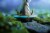 x_nea-lghtsev_e.jpg