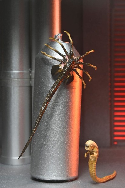 x_neca51742-01_k.jpg