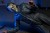 x_necan60652-06_j.jpg