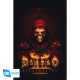 diablo-poster-maxi-915x61-diablo-ii-resurrected.jpg