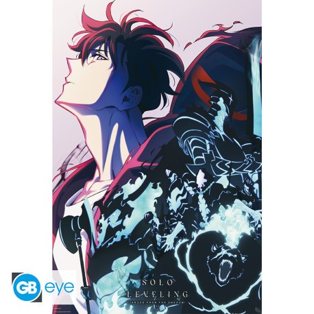 solo-leveling-poster-maxi-915x61-season-2.jpg