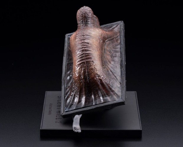 x_ktogp011_c.jpg
