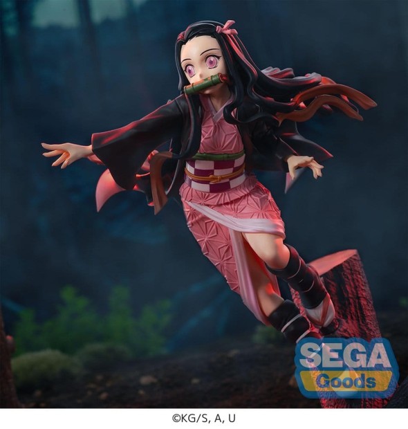 x_sega56770_b.jpg