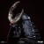 x_is33607_g.jpg