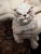 x_weta875003913_g.jpg